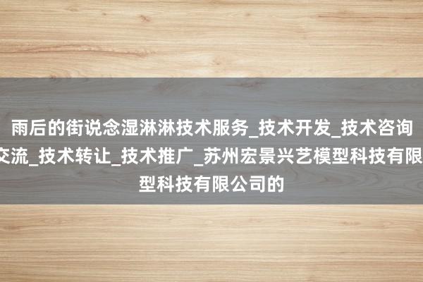 雨后的街说念湿淋淋技术服务_技术开发_技术咨询_技术交流_技术转让_技术推广_苏州宏景兴艺模型科技有限公司的